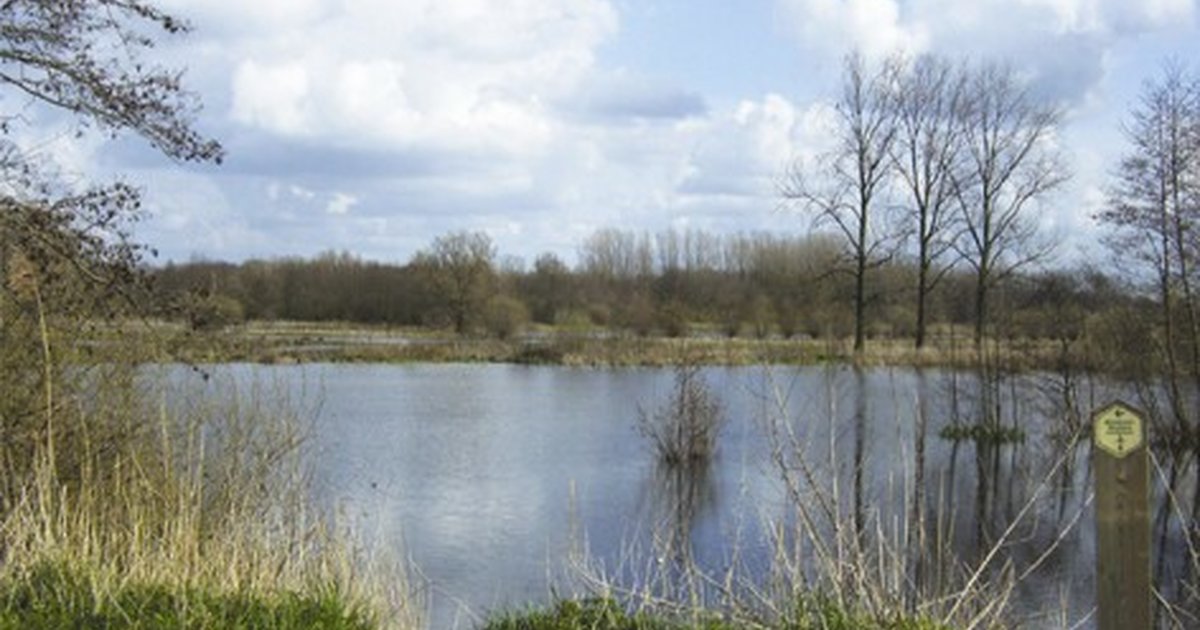 Molsbroek-Buylaersroute | Routen